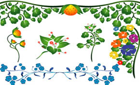 Vectors - Flowers set